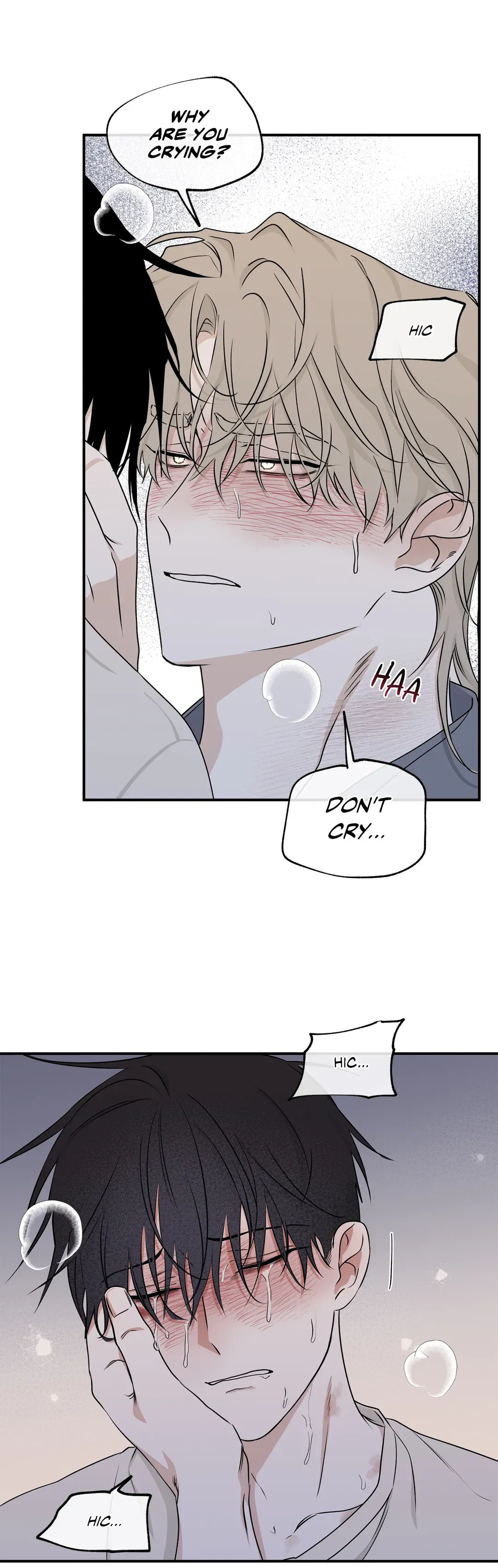 Page 17 of Chapter 55